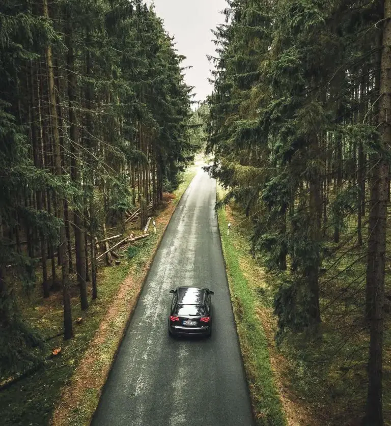 The Complete Guide to German Driving License