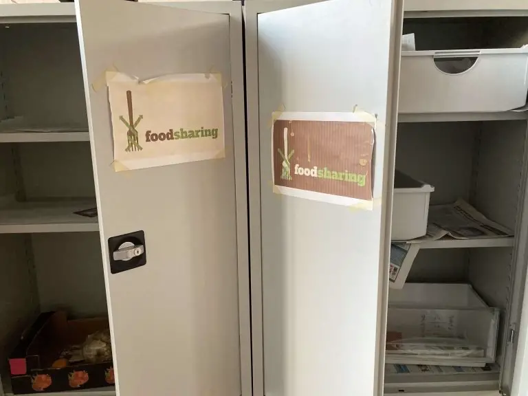 FoodSharing and Fairteiler and Co: Excess food initiatives in Berlin and Germany